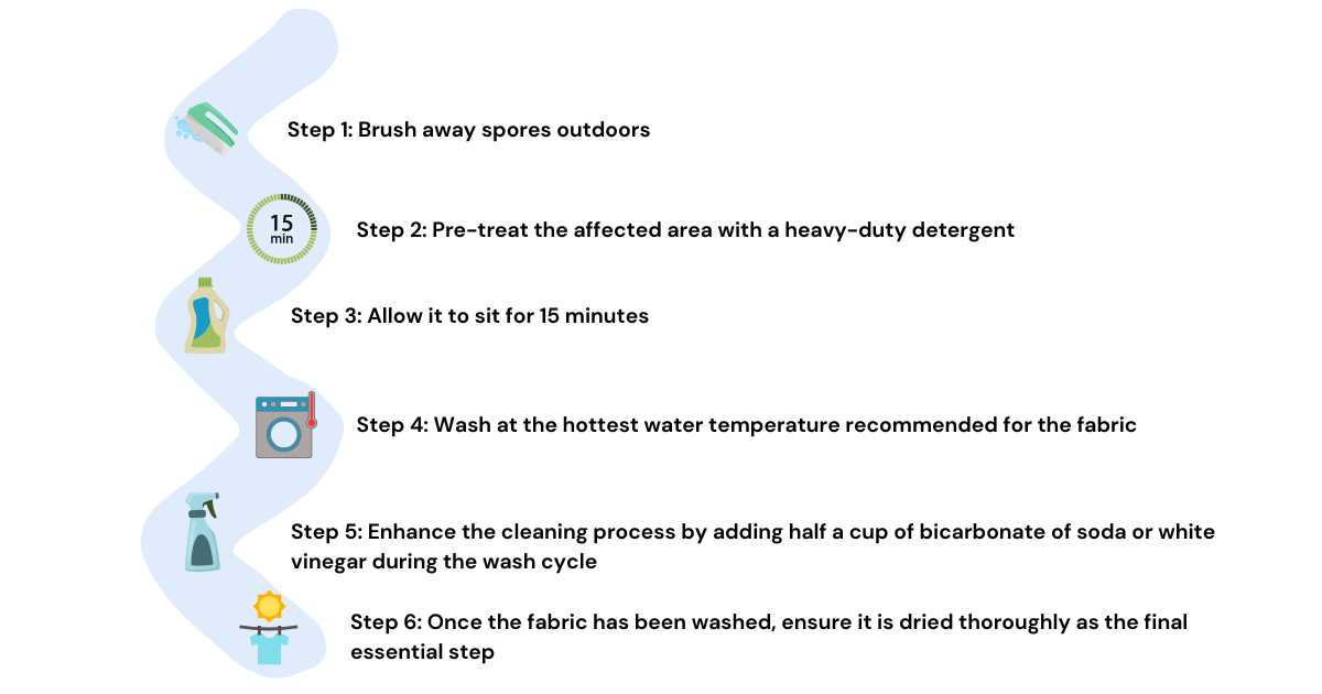 Steps to remove mould from fabric